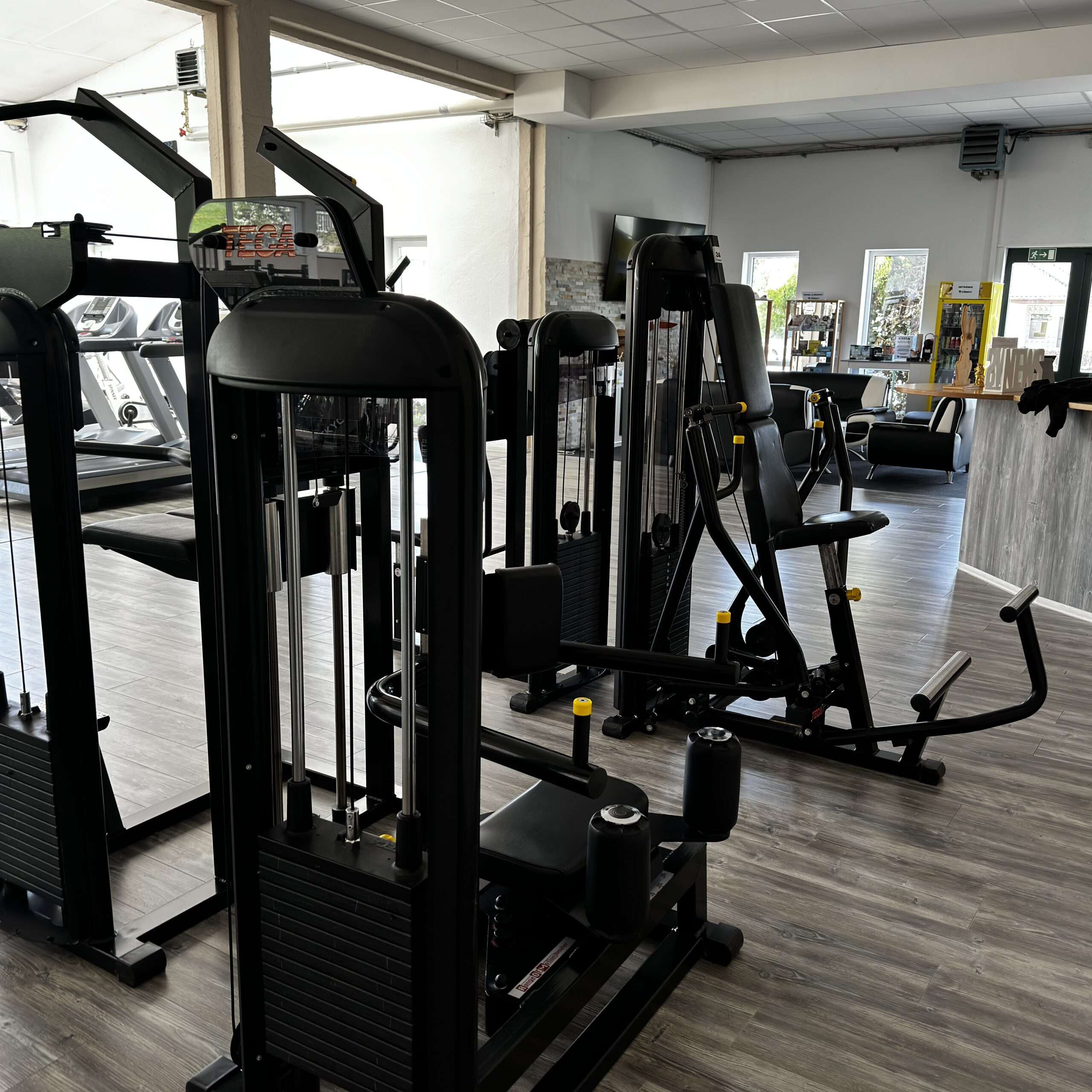 LionFit Studio