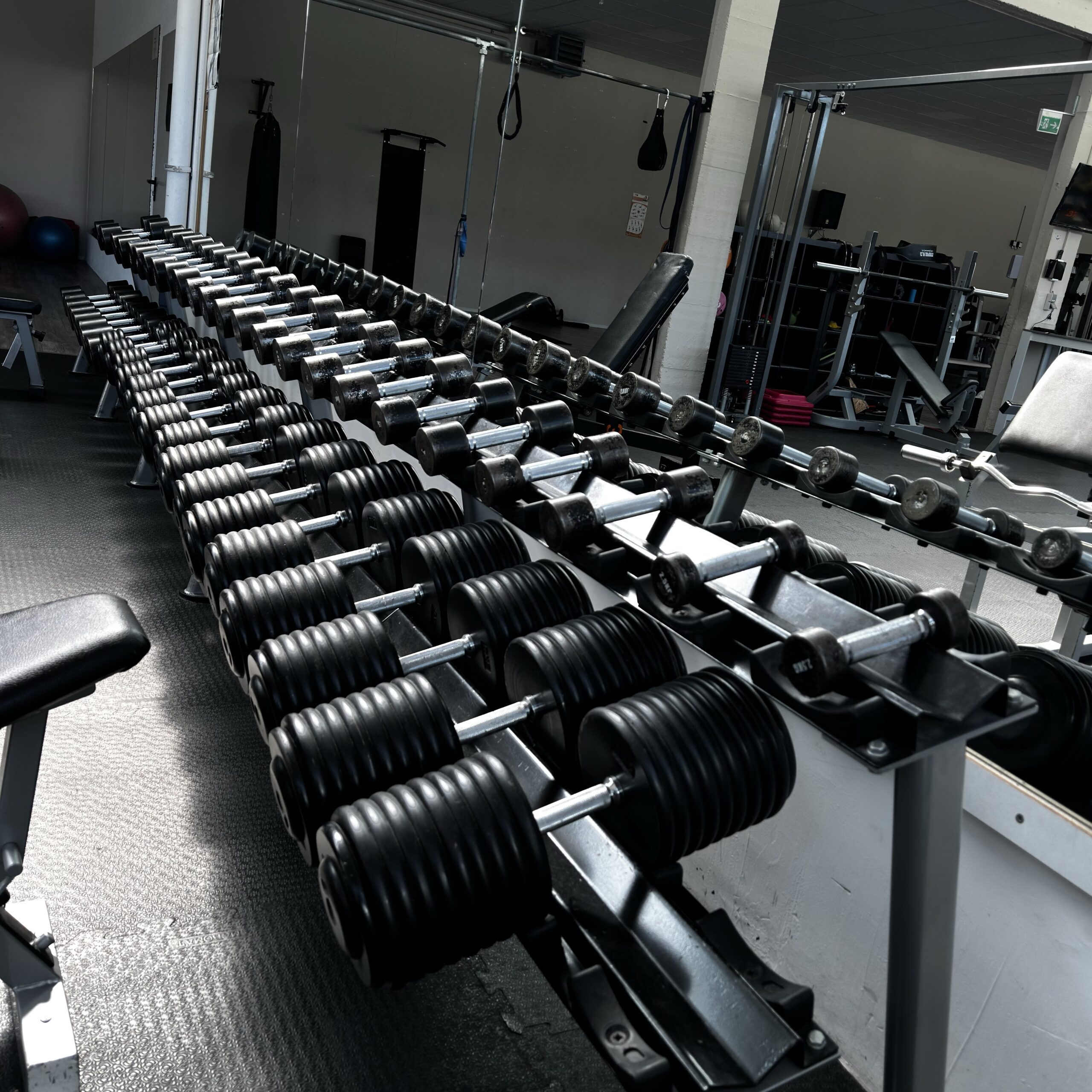 LionFit Studio