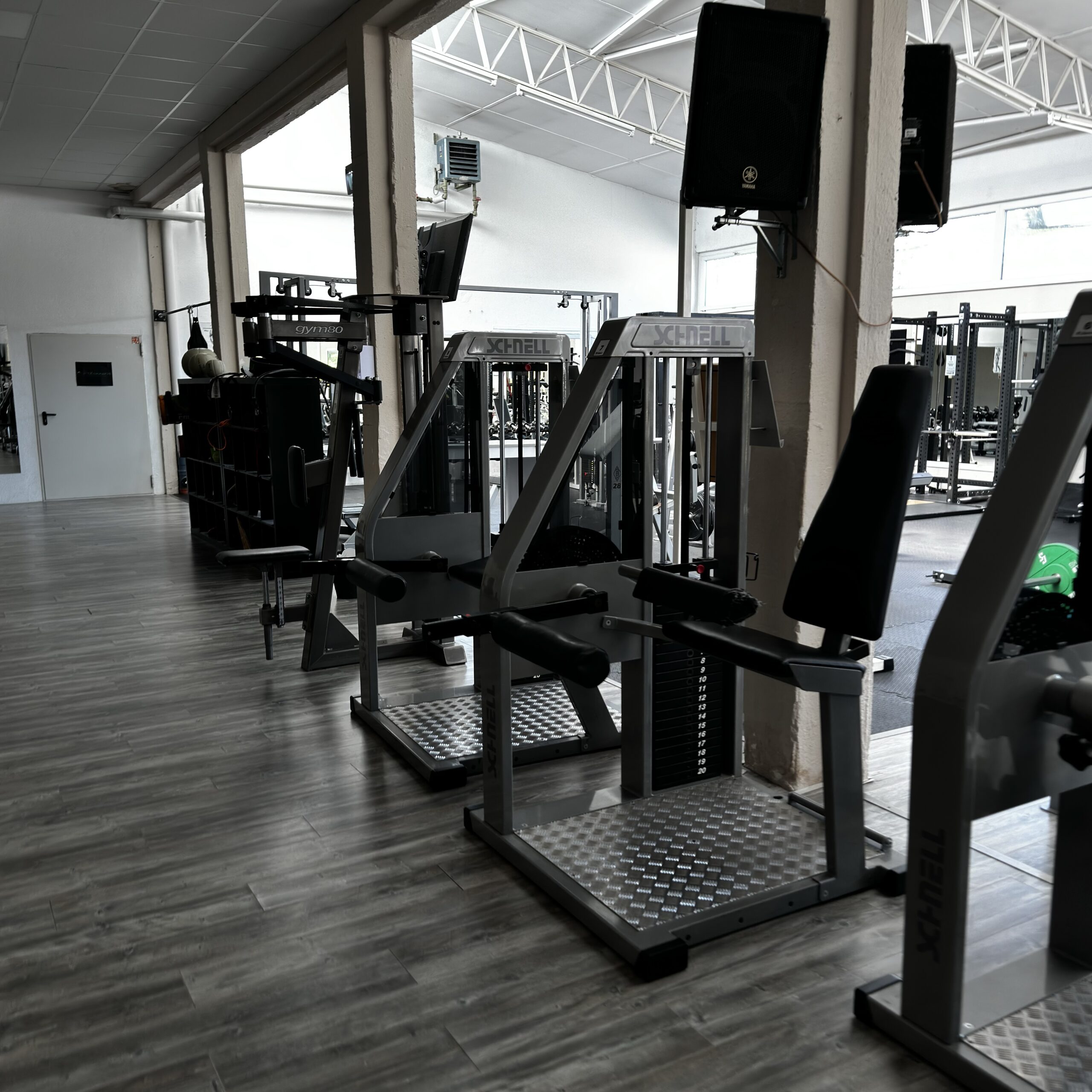 LionFit Studio