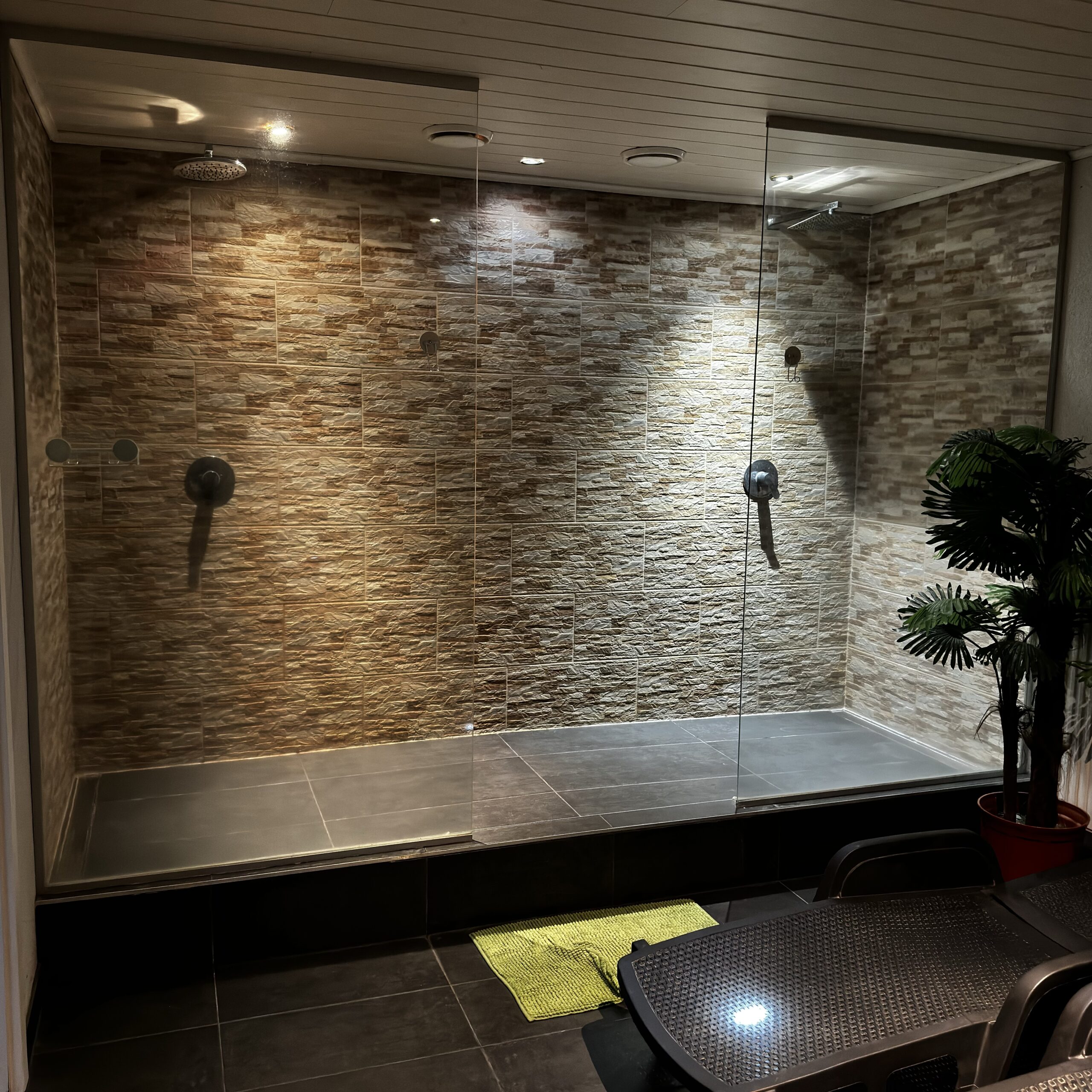 LionFit Studio