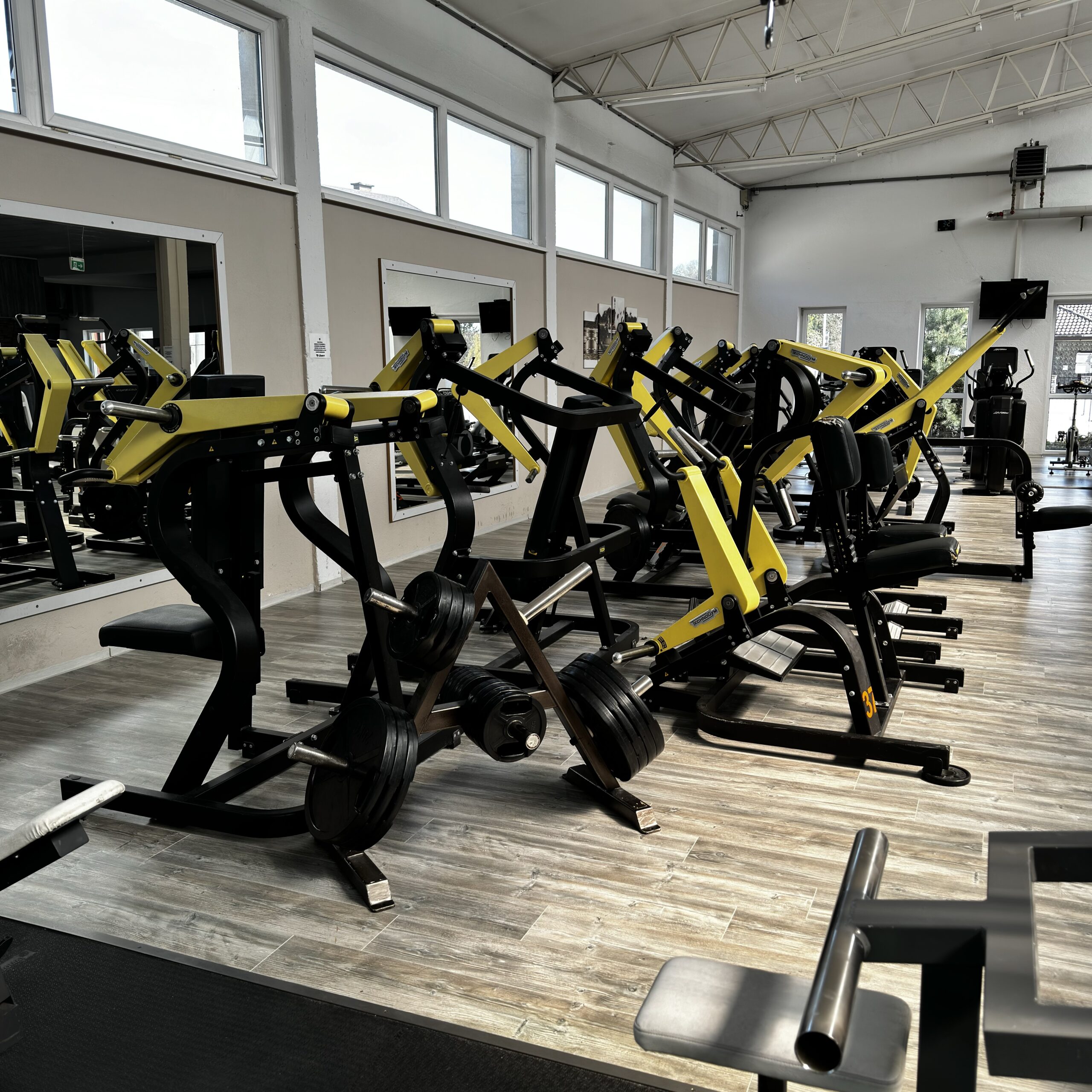 LionFit Studio