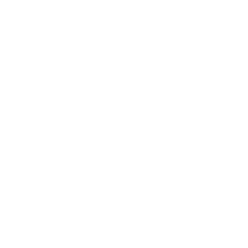 LionFit